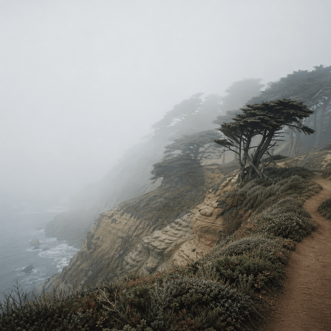 Mendocino coast with fog rolling over sandstone bluffs and wind-shaped cypress trees